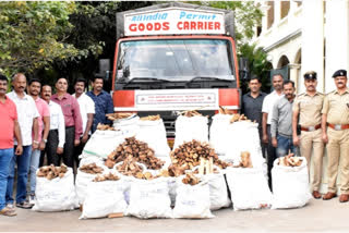 Sandalwood Smuggling case in mysore