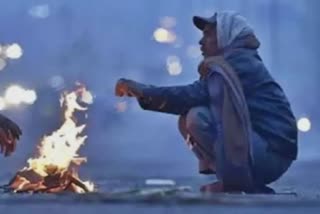 Cold Wave In Kutch: હવામાન વિભાગે કરી આગાહી, કચ્છમાં આગામી 48 કલાક કોલ્ડ વેવ વર્તાશે