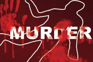 son in law killed his mother in law