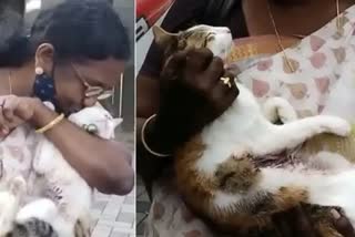 Neighbor arrested for killing cat  Cat Shot dead Vaikom  പൂ​ച്ച​യെ വെ​ടി​വെ​ച്ച് കൊ​ന്ന സം​ഭ​വ​ത്തി​ൽ അ​യ​ൽ​വാ​സി അ​റ​സ്റ്റി​ൽ  വൈ​ക്ക​ത്ത് വ​ള​ർ​ത്തു പൂ​ച്ച​യെ വെ​ടി​വെ​ച്ച് കൊ​ന്നു