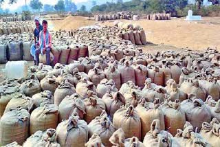 Central About Paddy Procurement