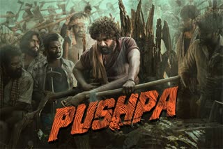 పుష్ప సినిమా, pushpa cinema