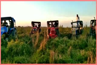 rhino-walking-out-side-forest-at-sivasagar-dikhoumukh