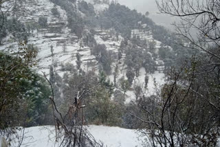 Snowfall In Pir Panjal: خطہ پیر پنجال میں برفباری شروع