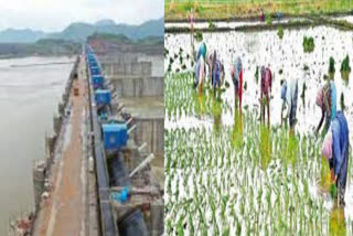 Polavaram water for cultivation in Godavari districts