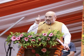 Amit Shah to hold 'Nishad Samaj Jan Sabha' in UP today