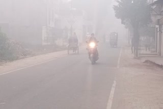 cold wave alert in Haryana