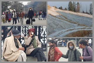 cold wave in himachal pradesh