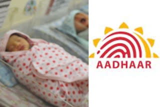 uidai authority plans provide aadhar enrolment to new born babies