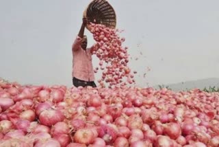 Onions Bumber Crop in Gujarat : રાજકોટ અને ગોંડલ યાર્ડમાં ત્રણ દિવસમાં રૂપિયા 7 કરોડની ડુંગળી ઠલવાઇ