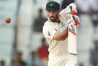 Maxwell should get more Test cricket opportunities: David Hussey