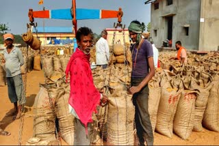 balod paddy purchase