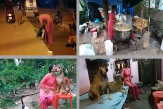 a women feeding 2 tonnes of food to 800 street dogs per day in mangalore