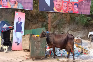 jp nadda banner viral