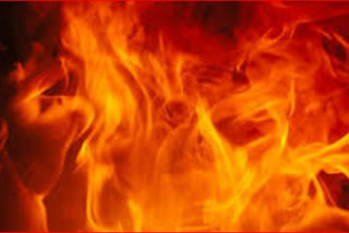 Fire Broke Out In Narela: نریلا میں بھیانک آتشزدگی