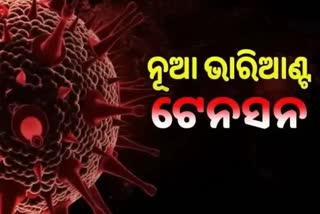 Omicron Scare: ୟୁପିରେ ଏଣ୍ଟ୍ରି ମାରିଲା ଓମିକ୍ରନ, ଭାରତରେ ମୋଟ ମାମଲା ୧୧୩କୁ ବୃଦ୍ଧି