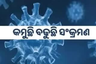 Odisha Corona Report: ଦିନକରେ ୧୬୯ ଆକ୍ରାନ୍ତ ଚିହ୍ନଟ