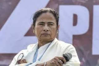 Mamata