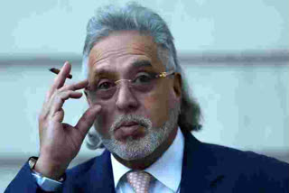 Vijay Mallya's Triumphs & travails to stream soon