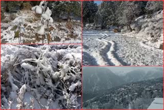 snowfall in kinnaur