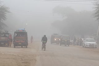 cold wave in haryana
