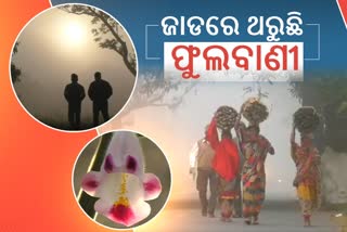 ଓଡିଶାର ସବୁଠୁ ଥଣ୍ଡା ସହର ଫୁଲବାଣୀ