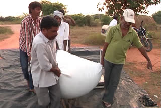 fraud in cotton weighing, cotton merchants