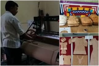 cloth making from brown cotton in darawada agriculture university
