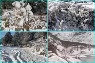 Snowfall In Kinnaur