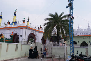 pedda dargah ursu festival in kadapa