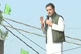 Rahul Gandhi roadshow in Amethi