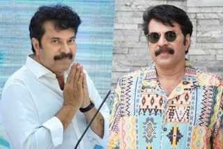 Mammootty eye treatment project Kazhcha 3  Kazhcha 3 starts again  Mammootty's Kazhcha 3  ആദിവാസികള്‍ക്ക്‌ 'കാഴ്ച്ച 3' സമർപ്പിക്കാനൊരുങ്ങി മമ്മൂട്ടി  നിര്‍ധനരായ നേത്ര രോഗികള്‍ക്ക്‌ മമ്മൂട്ടിയുടെ കൈത്താങ്ങ്  മമ്മൂട്ടിയുടെ നേത്ര ചികിത്സ പദ്ധതി 'കാഴ്‌ച'  'കാഴ്‌ച' യുടെ മൂന്നാം പതിപ്പ്‌ നാളെ ആരംഭിക്കുന്നു  Robert Kuriakose about Mammootty's eye project  Latest Malayalam movie updates