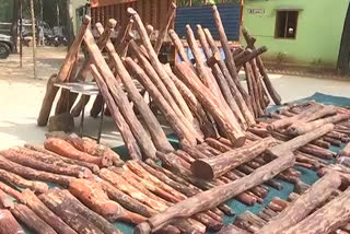 Red Sandalwood Seized in Chittoor