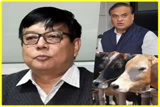 Government to bring amendment to cow protection Laws