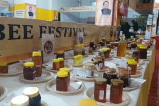 International Honey Bee Festival