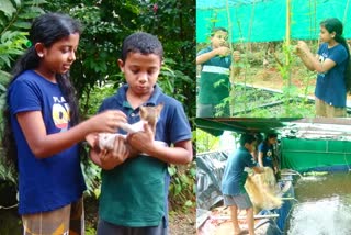 കോതമംഗലം വിദ്യാർഥികളുടെ മത്സ്യക്കൃഷി  ചെറുവട്ടൂർ അക്വാപോണിക്സ് മത്സ്യക്കൃഷി  എൽദോസ് രാജു എയ്ഞ്ചൽ രാജു കൃഷി  Eldos Raju Angel Raju fish farming  Cheruvathur Students fish farming  Kothamangalam Aquaponics farming