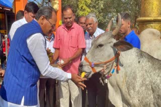 ಪ್ರಭು ಚವ್ಹಾಣ್  , Prabhu Chauhan