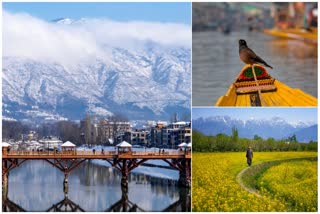 kashmir stunning images