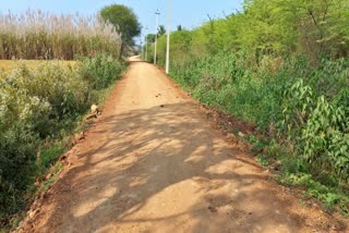 Yelandur people are facing problem by muddy road