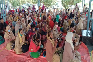 devotees-of-dera-sacha-sauda-distribute-fruits-to-patients-in-delhi-hospitals