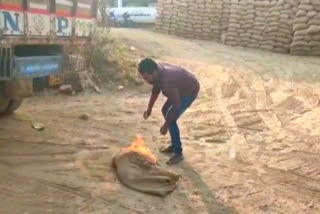 Farmer Protest: ఆగ్రహించిన అన్నదాత.. ధాన్యం బస్తాకు నిప్పంటించి ఆందోళన