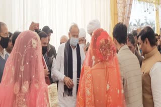Minister Ramlal Jat Son Marriage, CM Gehlot