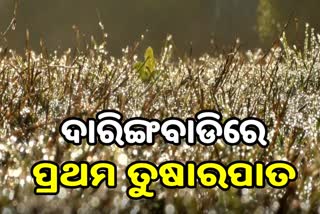 ଦାରିଙ୍ଗବାଡିରେ ଚଳିତ ଋତୁର ପ୍ରଥମ ତୁଷାରପାତ, ପାରଦ ୪ ଡିଗ୍ରୀ ରେକର୍ଡ