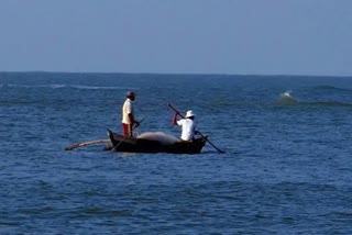 Sri Lankan Navy arrests Indian fishermen  sri lankan navy  srilanka coastal areas  fishermen arrested in srilanka  ശ്രീലങ്കന്‍ നാവിക സേന മത്സ്യത്തൊഴിലാളികളെ അറസ്റ്റ് ചെയ്‌തു  സമുദ്രാതിര്‍ത്തി കടന്ന്‌ മത്സ്യബന്ധനം  മത്സ്യത്തൊഴിലാളികള്‍ ശ്രീലങ്കയില്‍ അറസ്റ്റിലായി  news related to fishermen