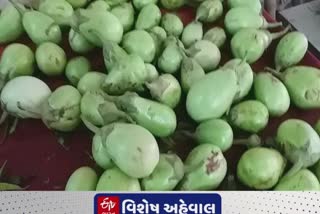 Bringal Price Hike: ગરીબ અને મધ્યમ વર્ગ માટે રીંગણ બન્યા દુષ્કર, પ્રતિ કિલો બજારભાવ 100 રૂપિયાને પાર