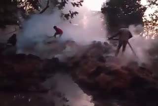 Paddy crop caught fire in Dumka