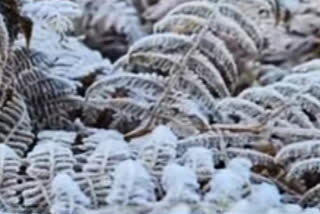 Snowfall in thuruk village of Dimahasao