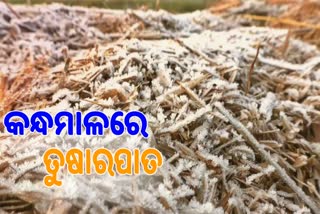 snowfall in kandhamal:  ଫୁଲବାଣୀରେ ୪ ଡିଗ୍ରୀ ଓ ଦାରିଙ୍ଗବାଡିରେ ୩.୫ ଡିଗ୍ରୀ ରେକର୍ଡ