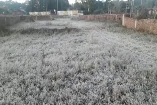 Snow falling in Chilpi Valley of Kawardha