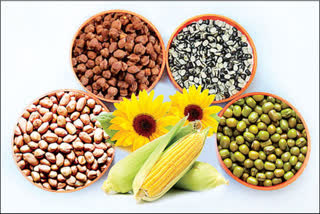 alternative crops in telangana